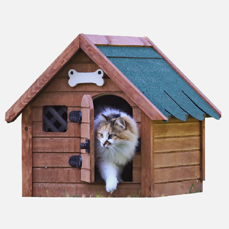 ÖZEL ÇEKİM FOTOĞRAFLAR